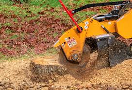 Best Leaf Removal  in Matheny, CA